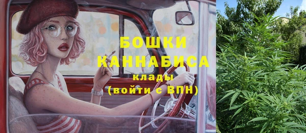 PSILOCYBIN Абдулино