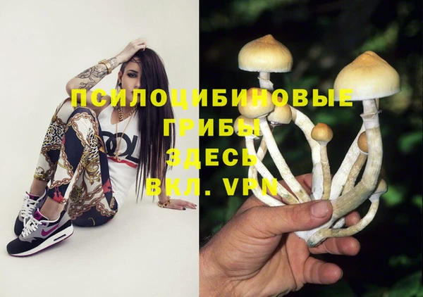 ПСИЛОЦИБИНОВЫЕ ГРИБЫ Абинск