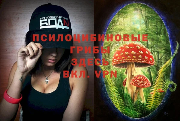 ПСИЛОЦИБИНОВЫЕ ГРИБЫ Абинск