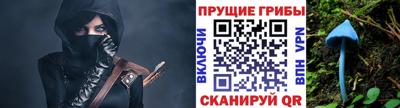 Галлюциногенные грибы прущие грибы  Алапаевск 